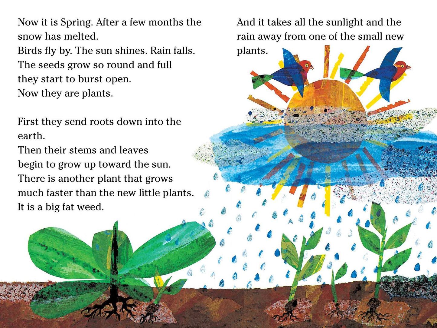 The Tiny Seed