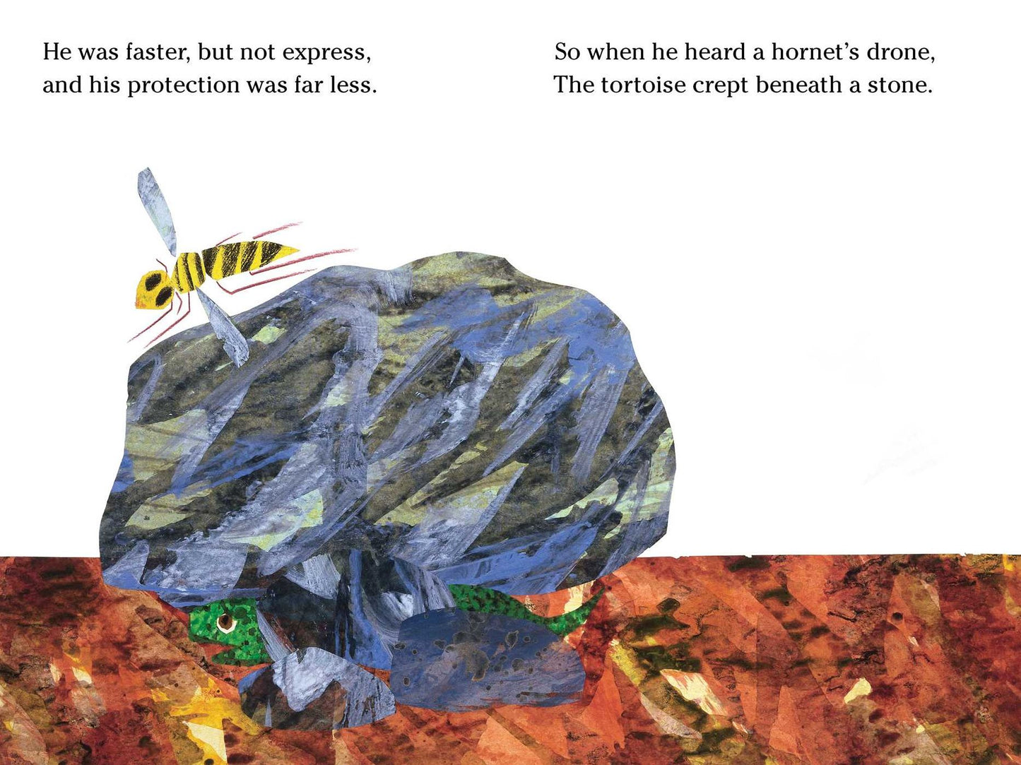 The Foolish Tortoise