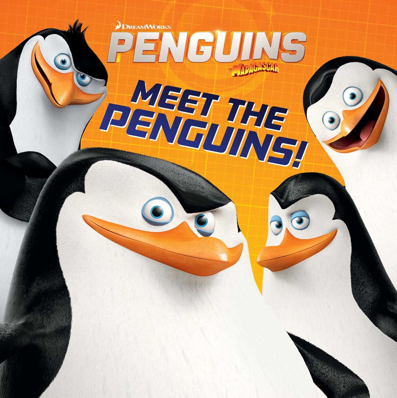 Meet the Penguins!: with audio recording (Penguins of Madagascar Series)