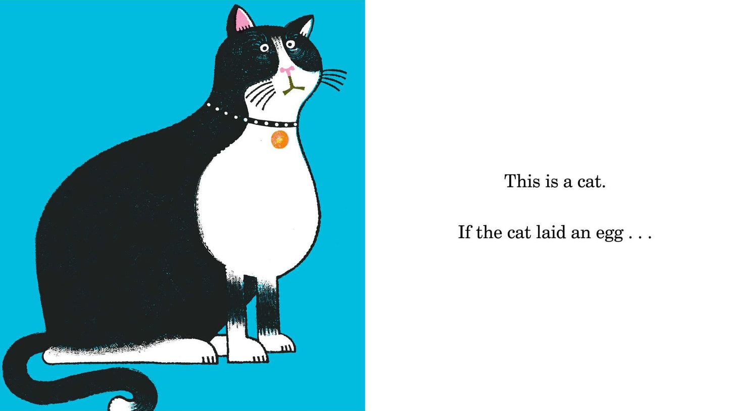 This Is Not a Normal Animal Book
