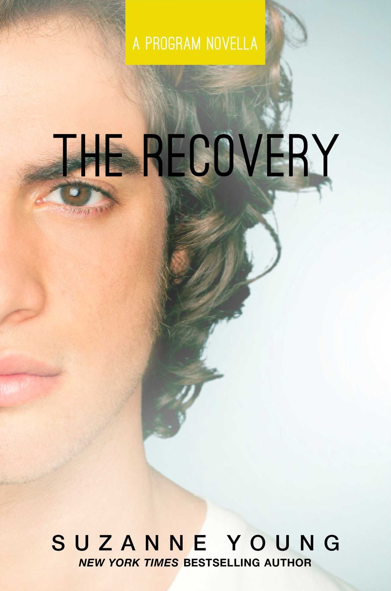 The Recovery (Program Series)