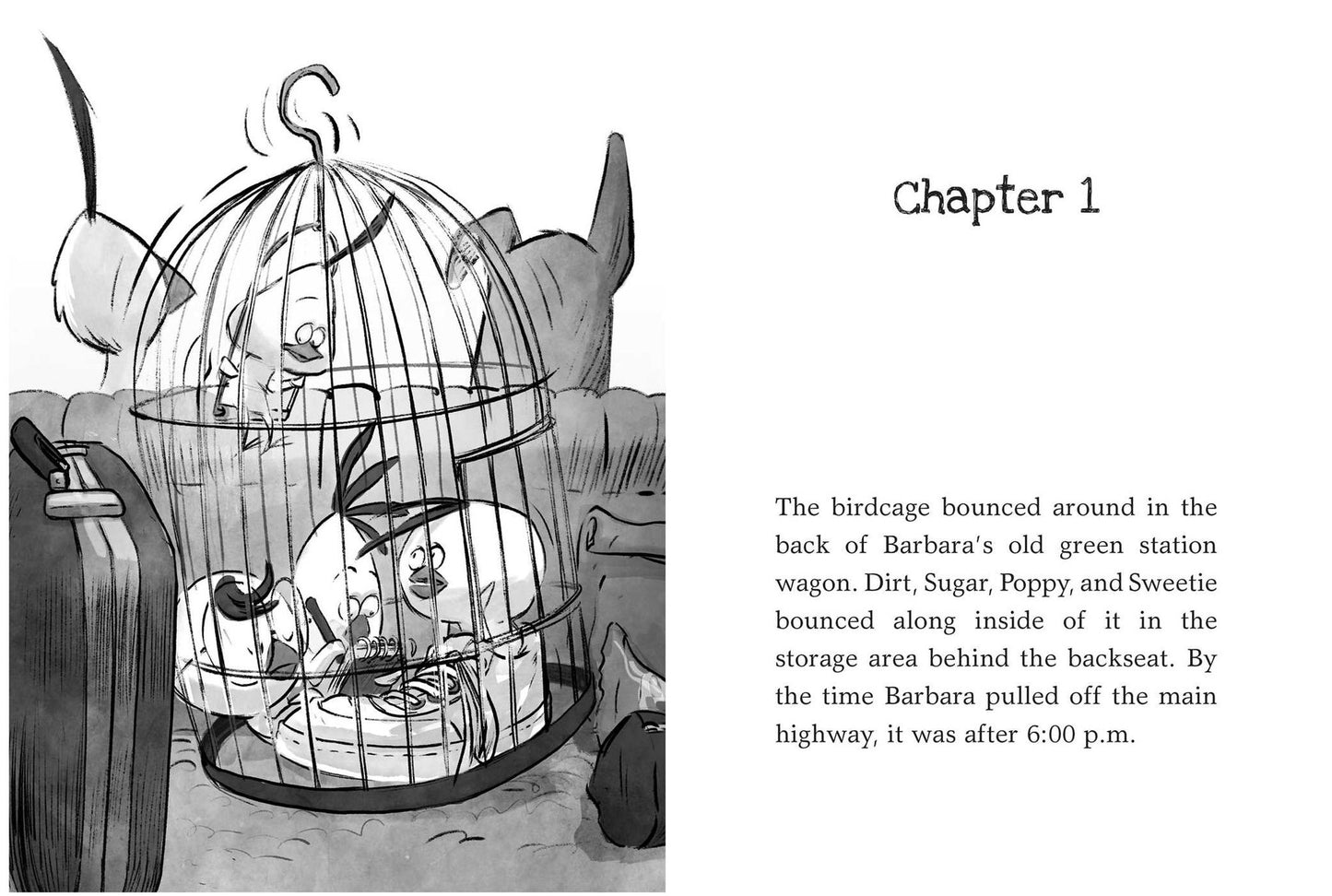 Dark Shadows: Yes, Another Misadventure (Chicken Squad Series #4)