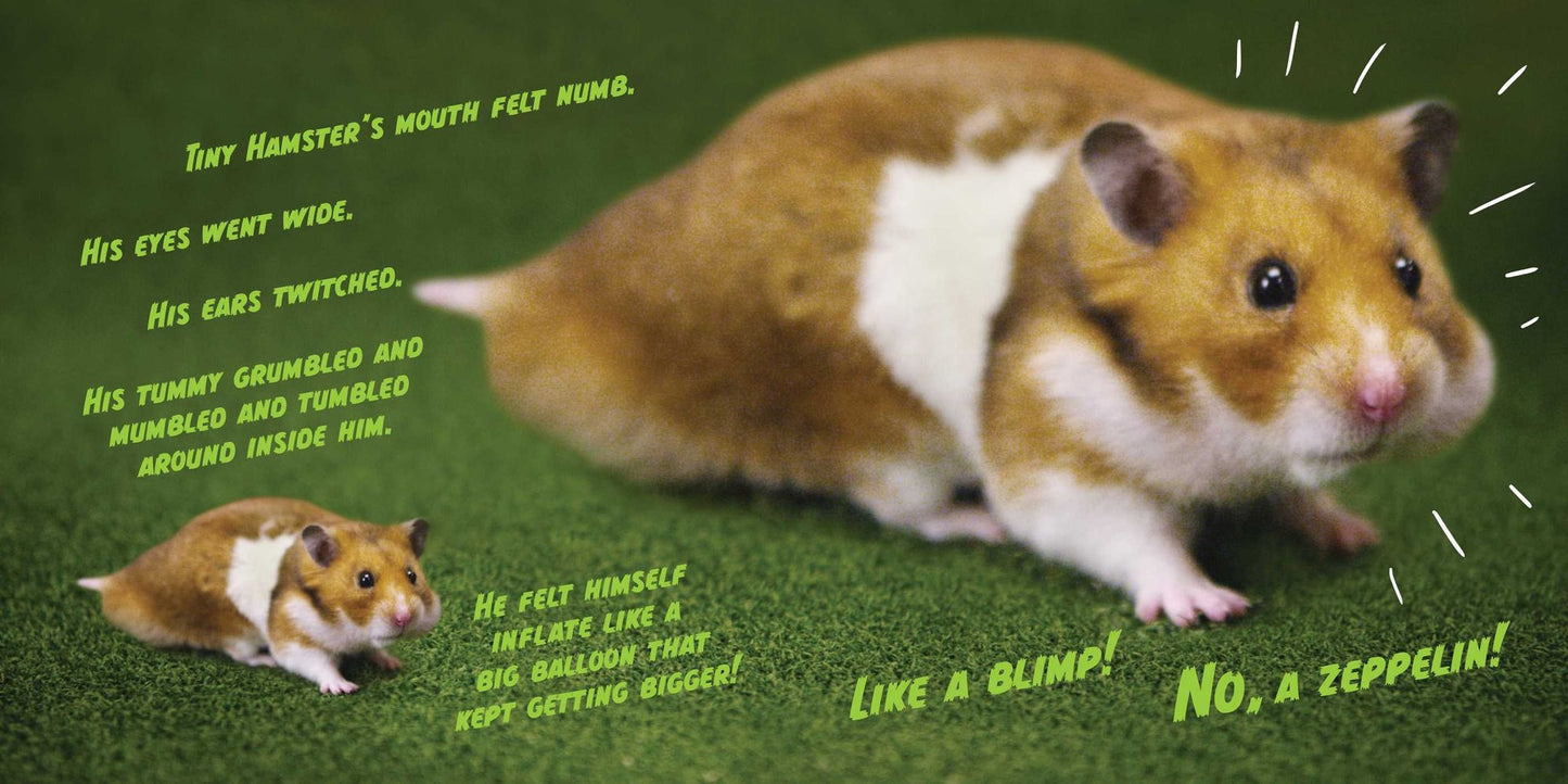 Tiny Hamster Is a Giant Monster