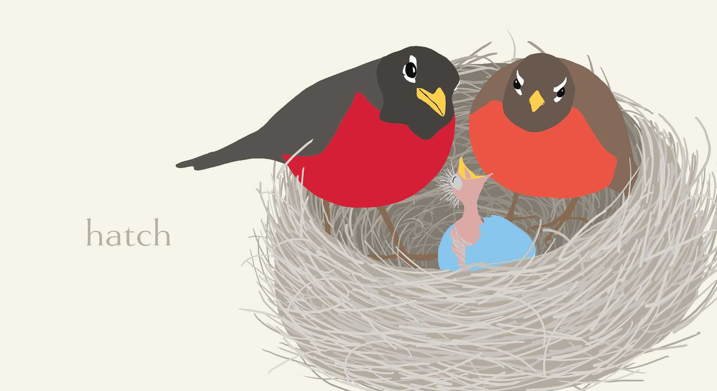 Nest