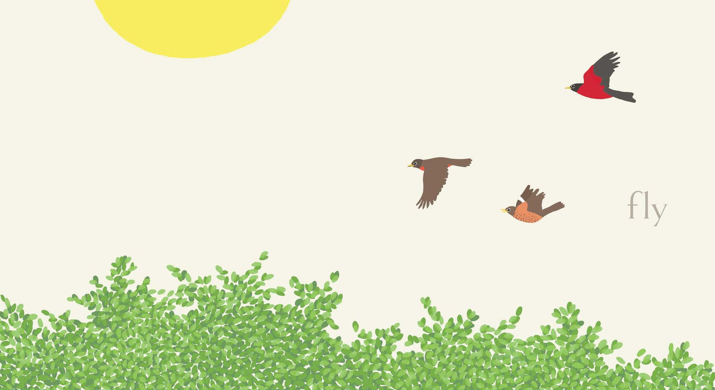 Nest