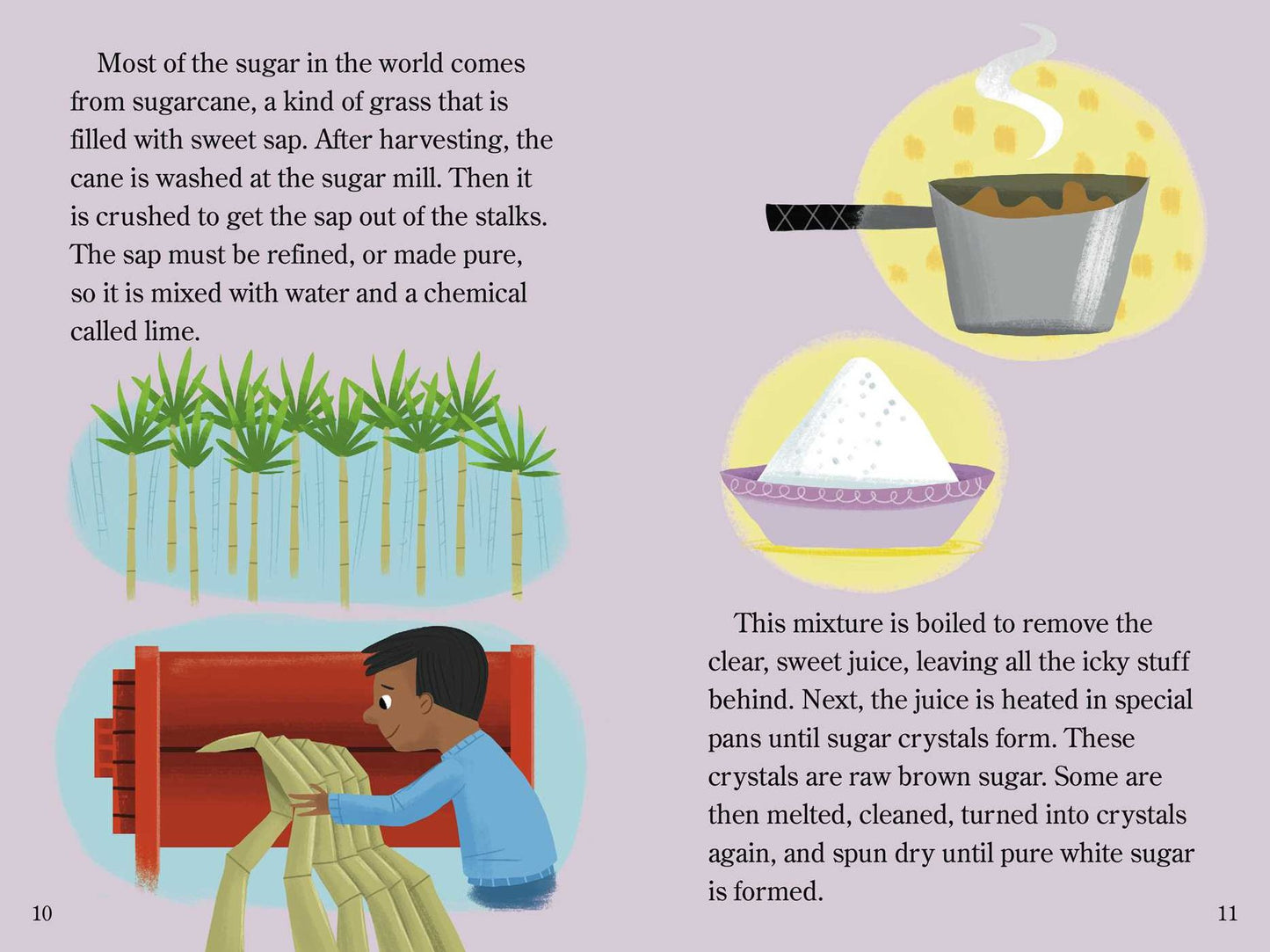 The Sugary Secrets Behind Candy