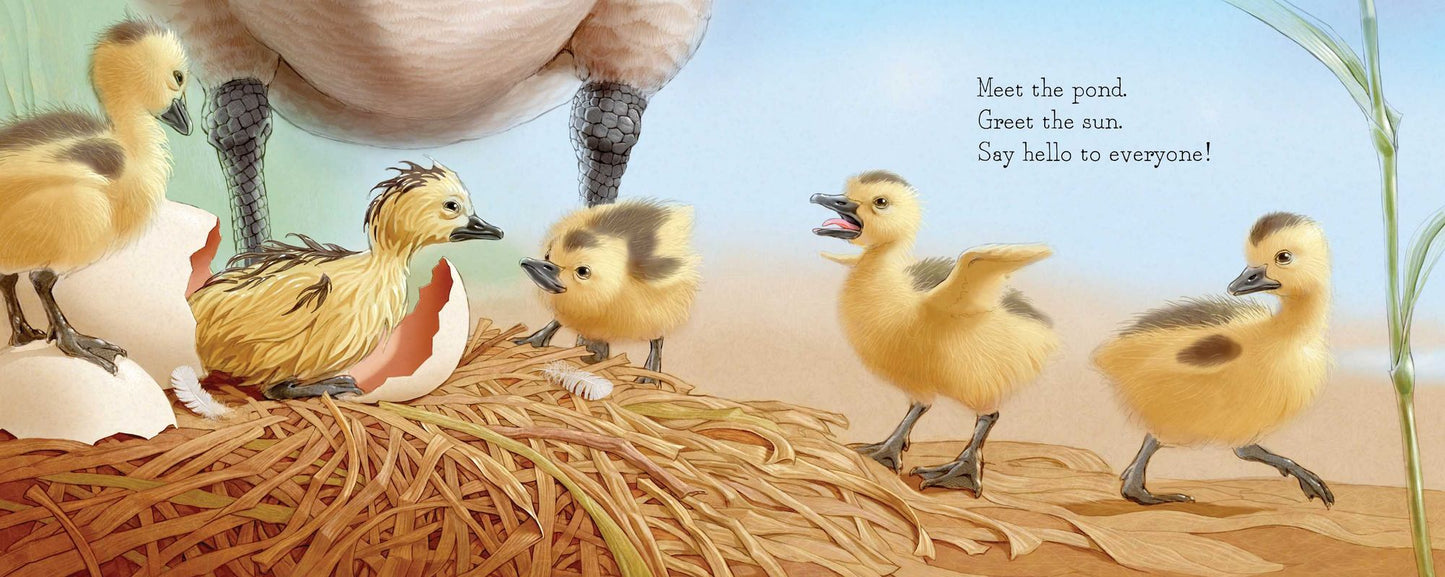 Shake a Leg, Egg!