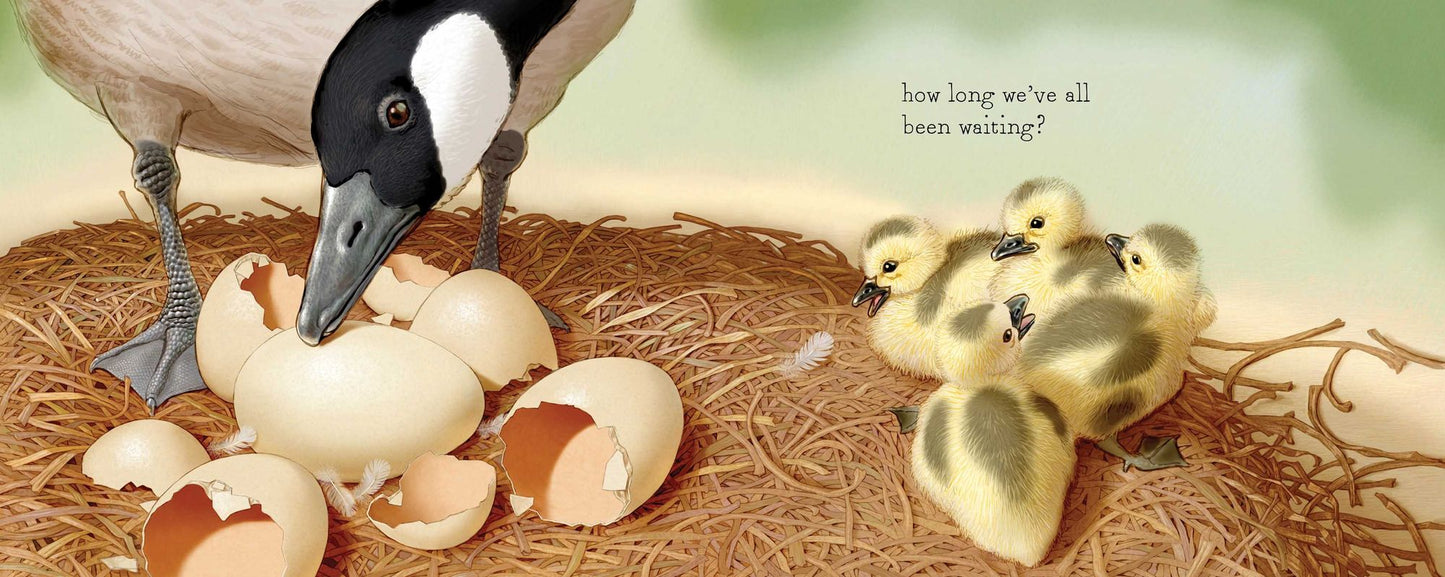 Shake a Leg, Egg!