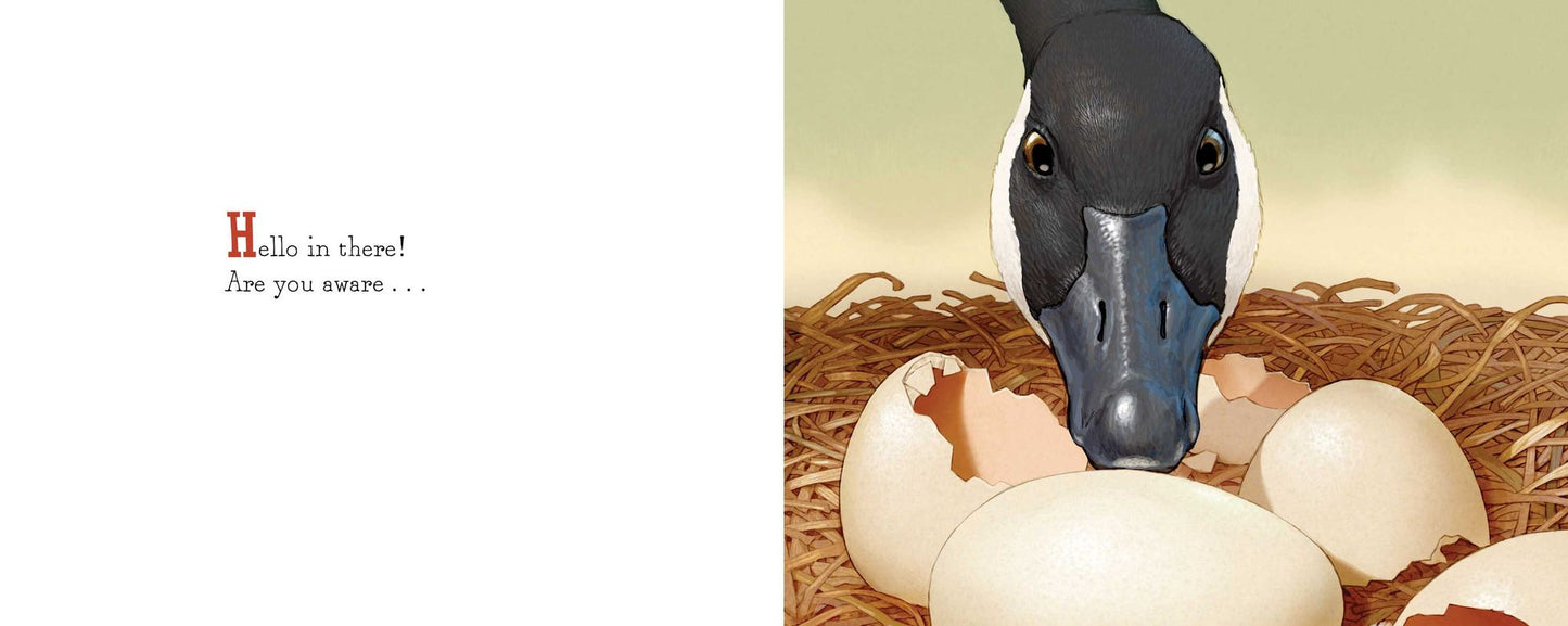 Shake a Leg, Egg!