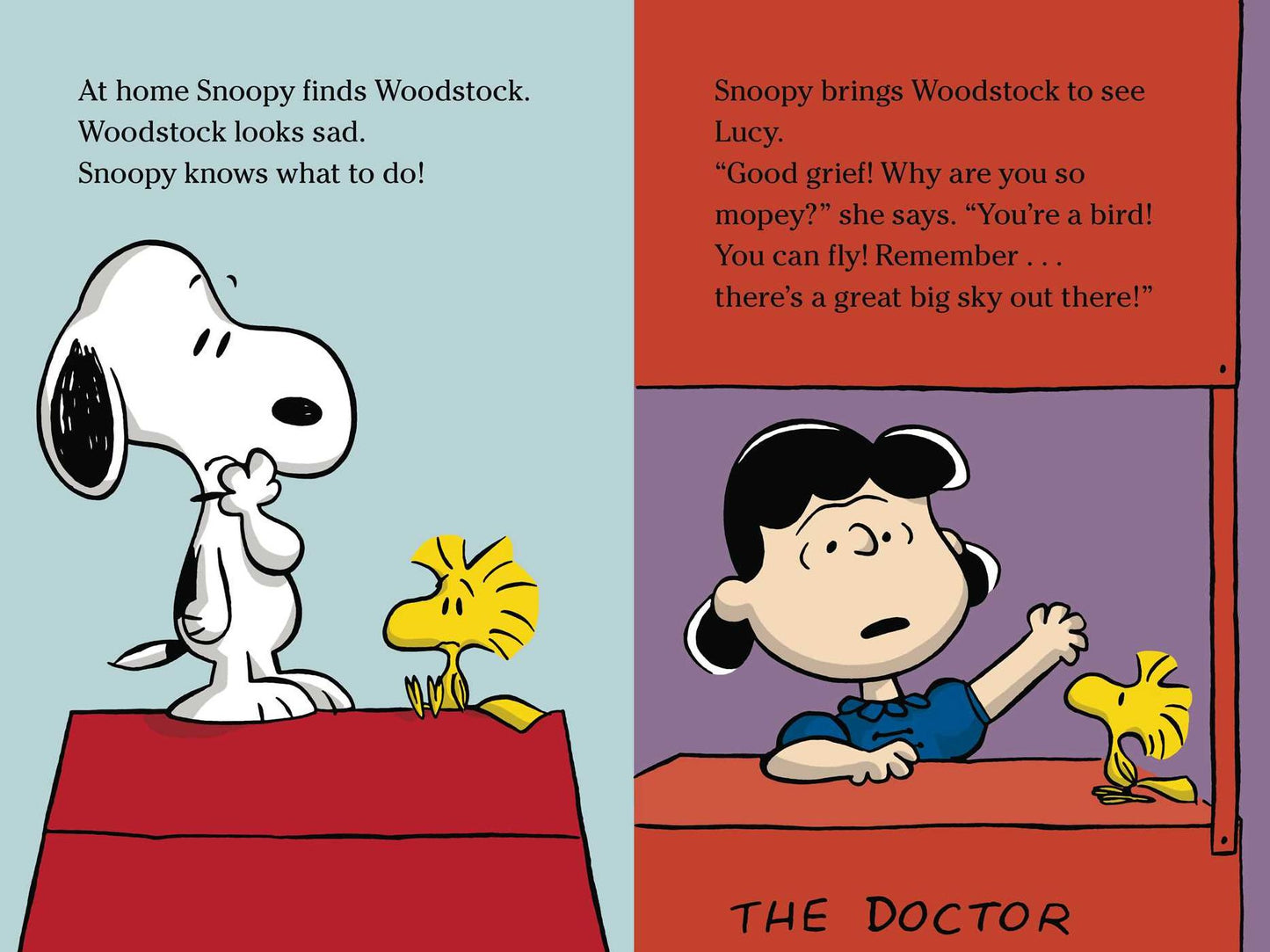Lucy Knows Best