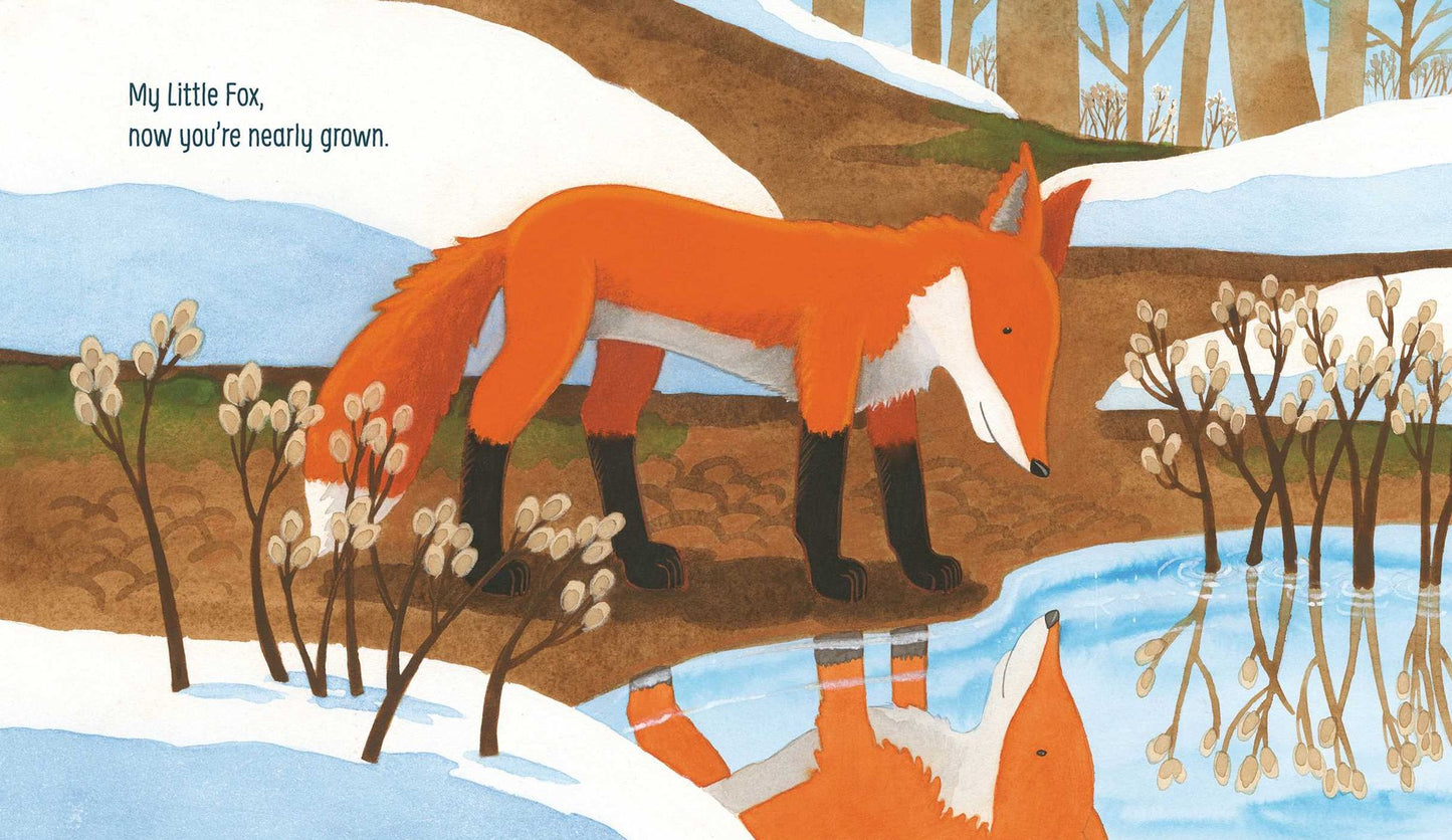 My Little Fox