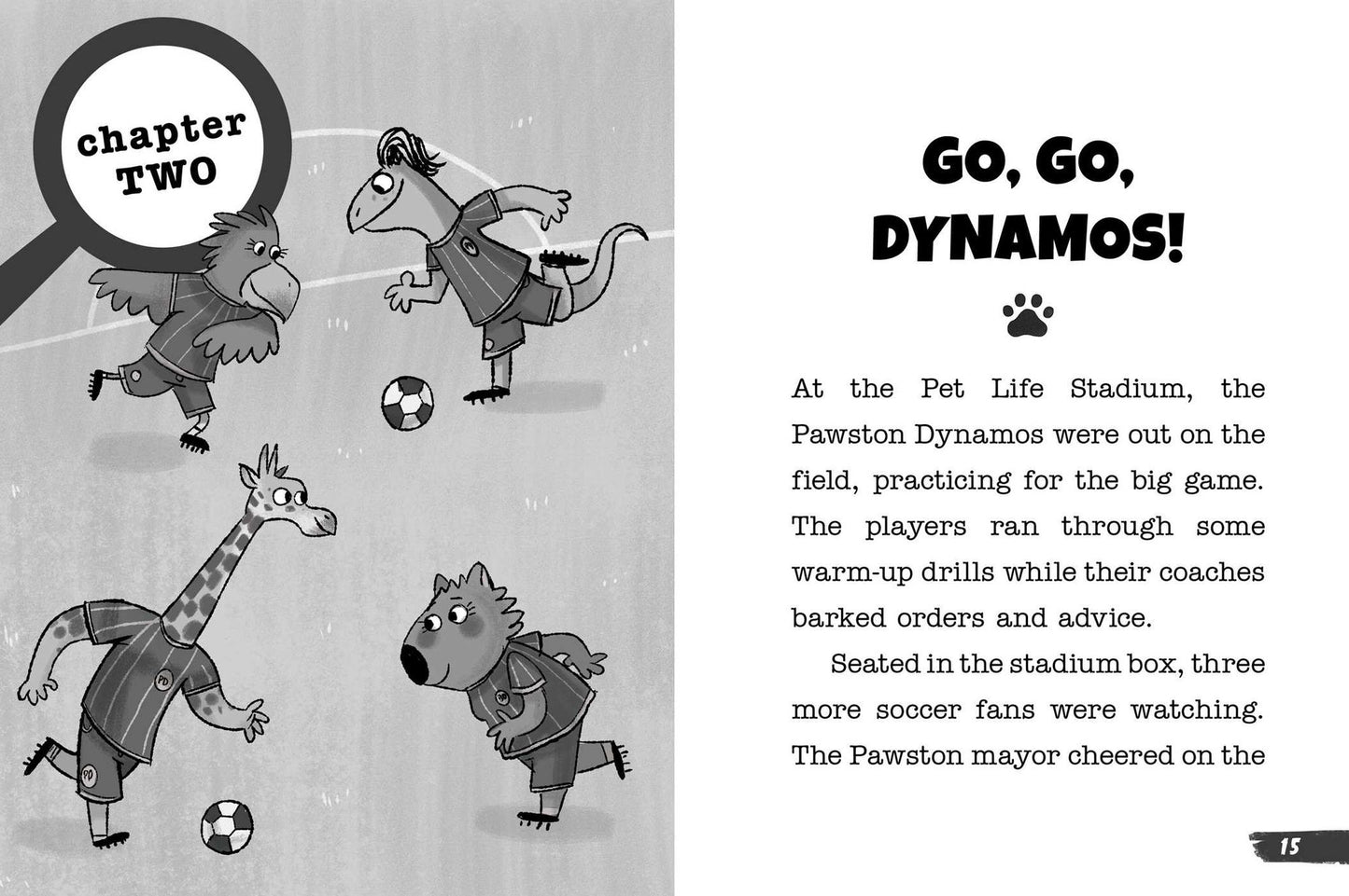The Soccer Ball Monster Mystery
