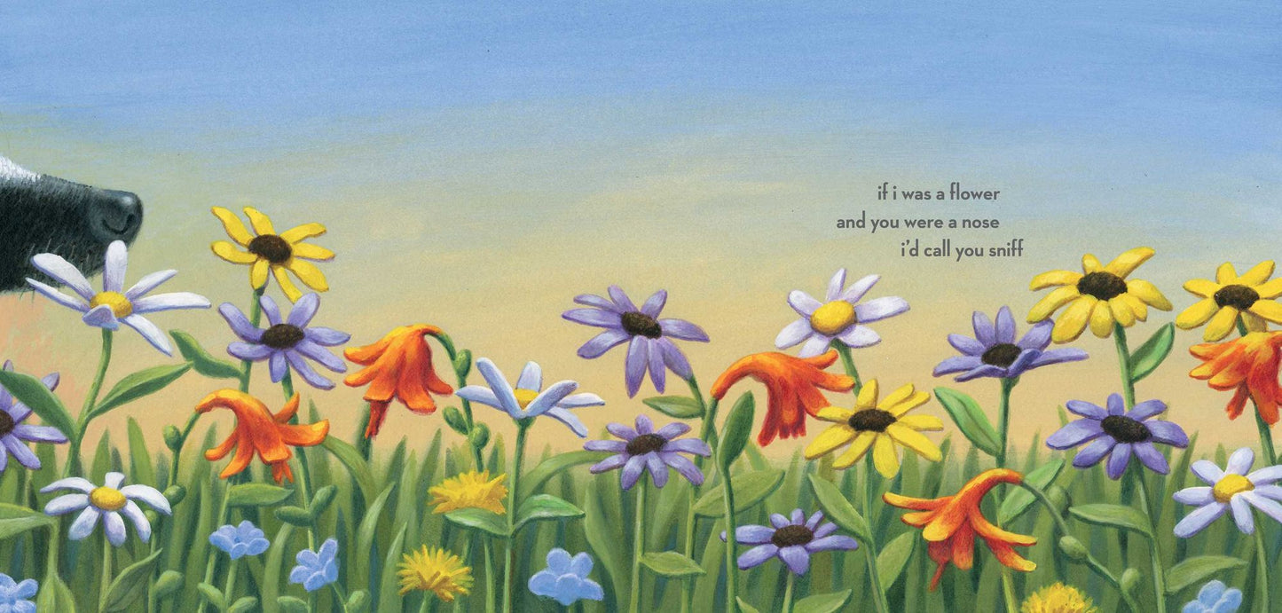 If I Was the Sunshine