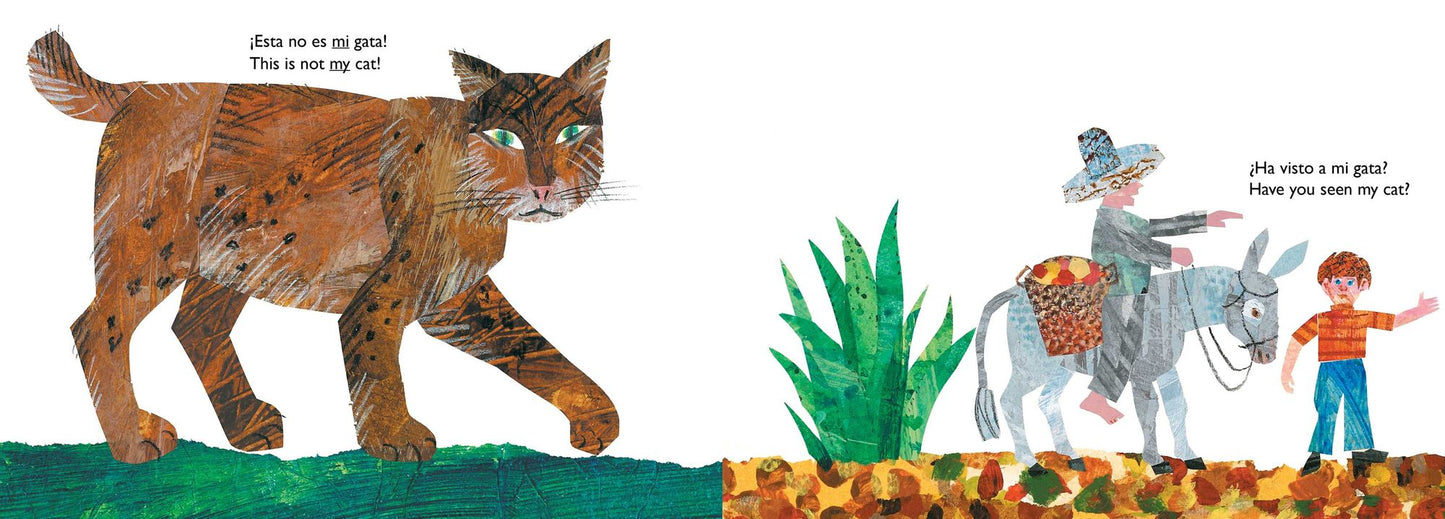 ¿Ha visto a mi gata? (Have You Seen My Cat?)