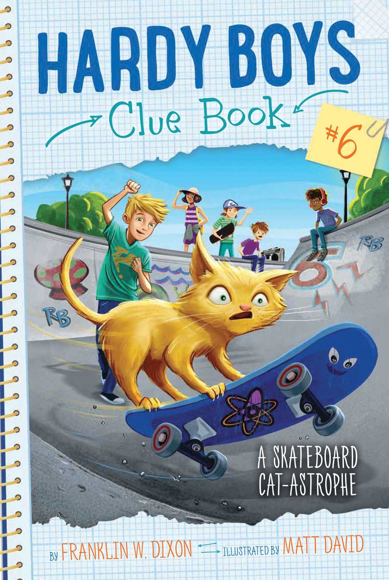 A Skateboard Cat-astrophe