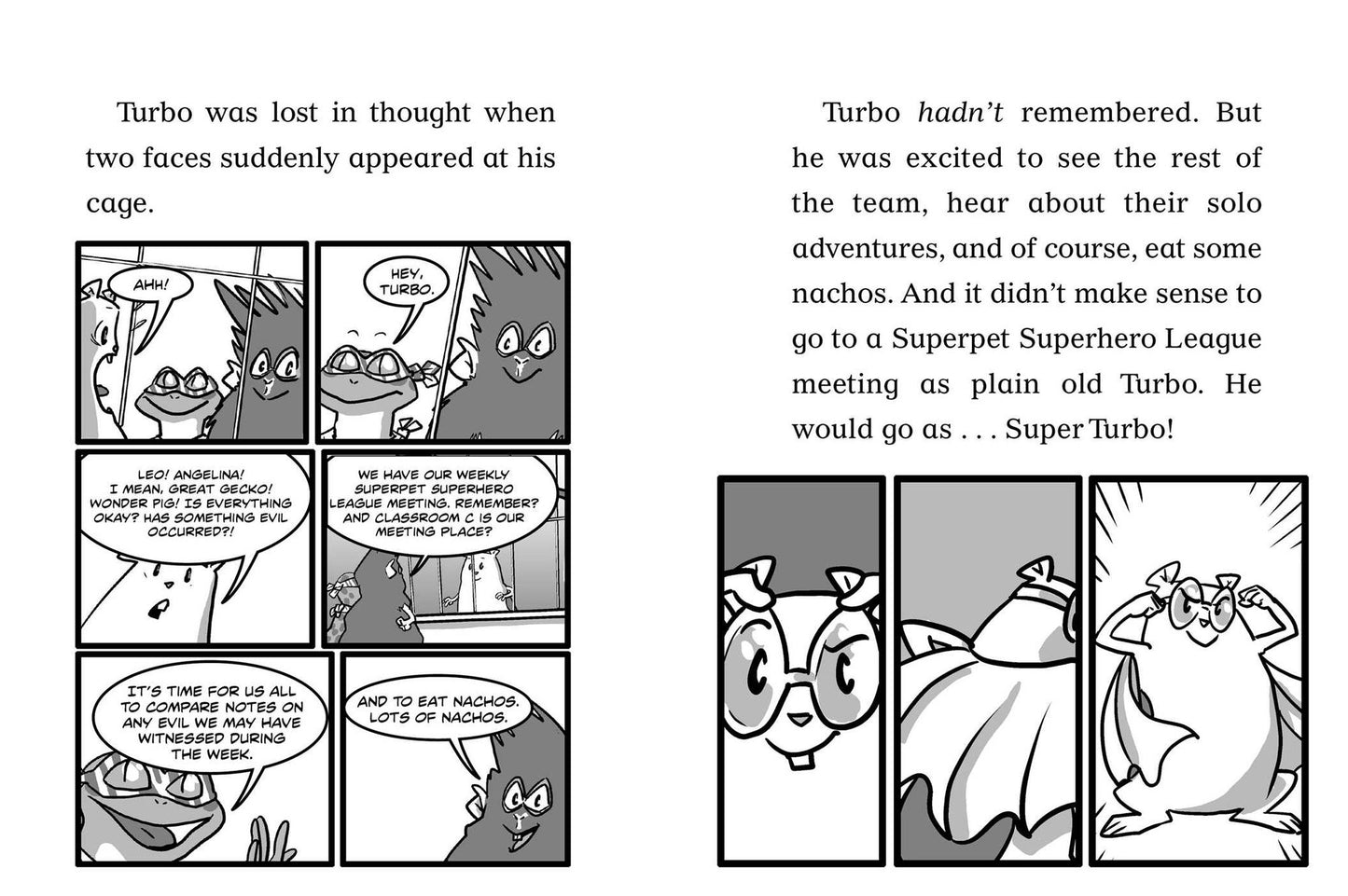 Super Turbo vs. the Flying Ninja Squirrels
