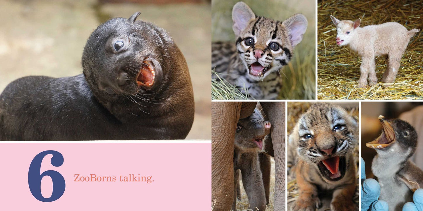 1-2-3 ZooBorns!
