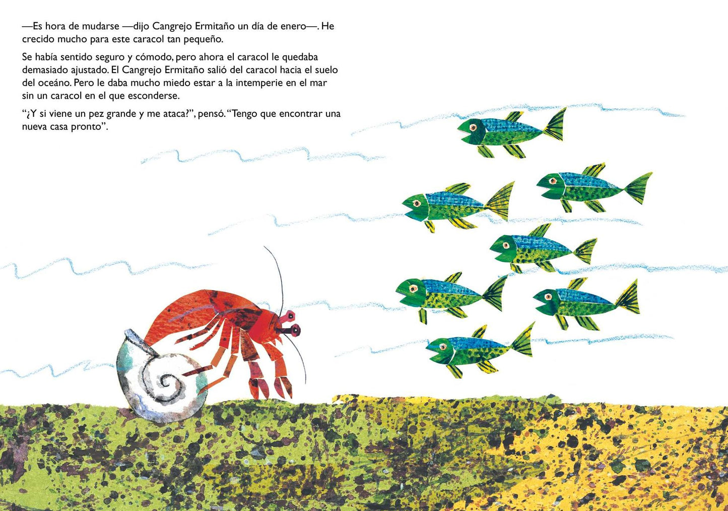 Una Casa Para Cangrejo Ermitaï¿½o (a House for Hermit Crab)