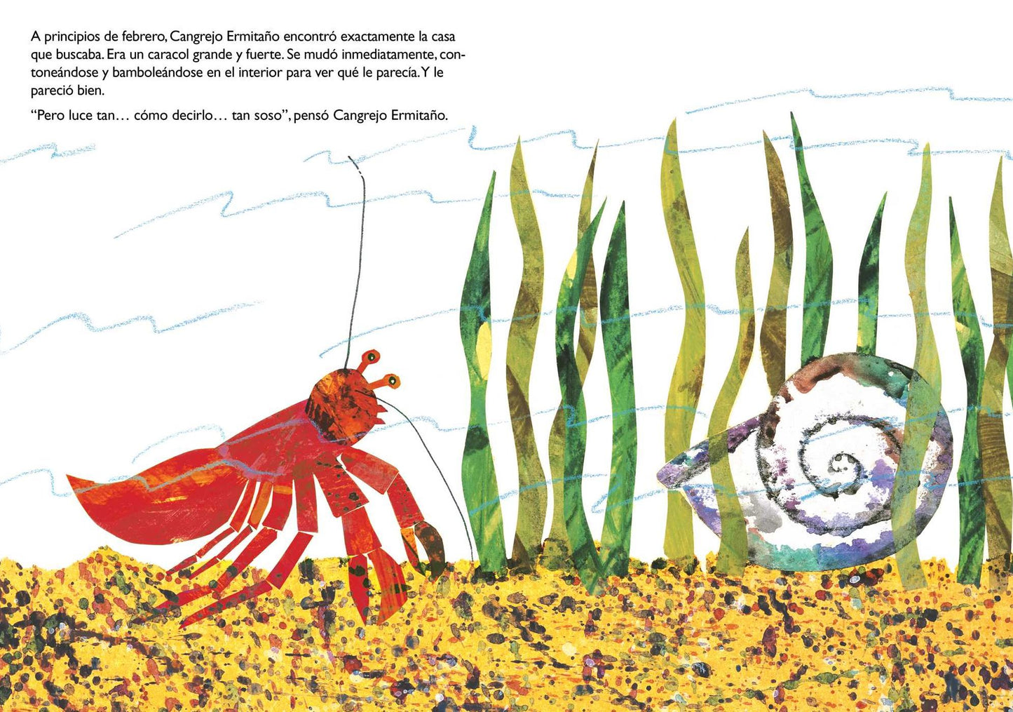 Una Casa Para Cangrejo Ermitaï¿½o (a House for Hermit Crab)