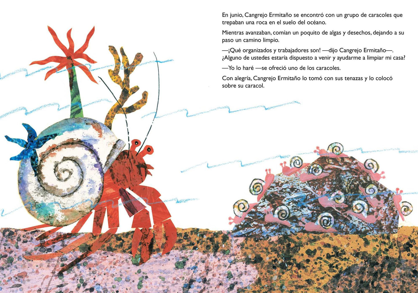 Una Casa Para Cangrejo Ermitaï¿½o (a House for Hermit Crab)