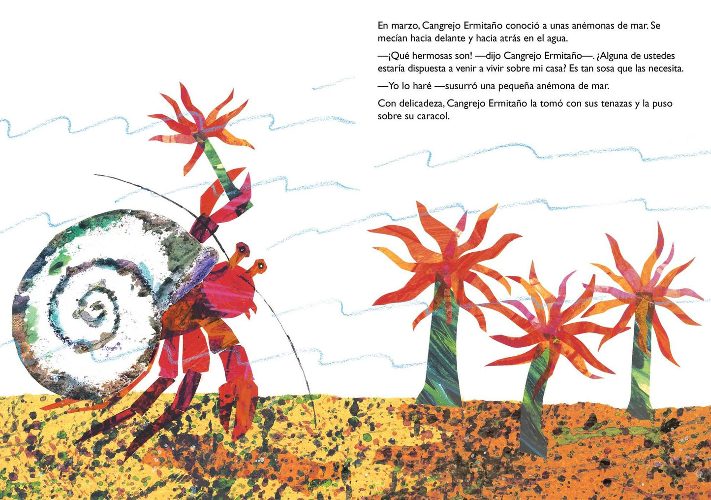 Una Casa Para Cangrejo Ermitaï¿½o (a House for Hermit Crab)