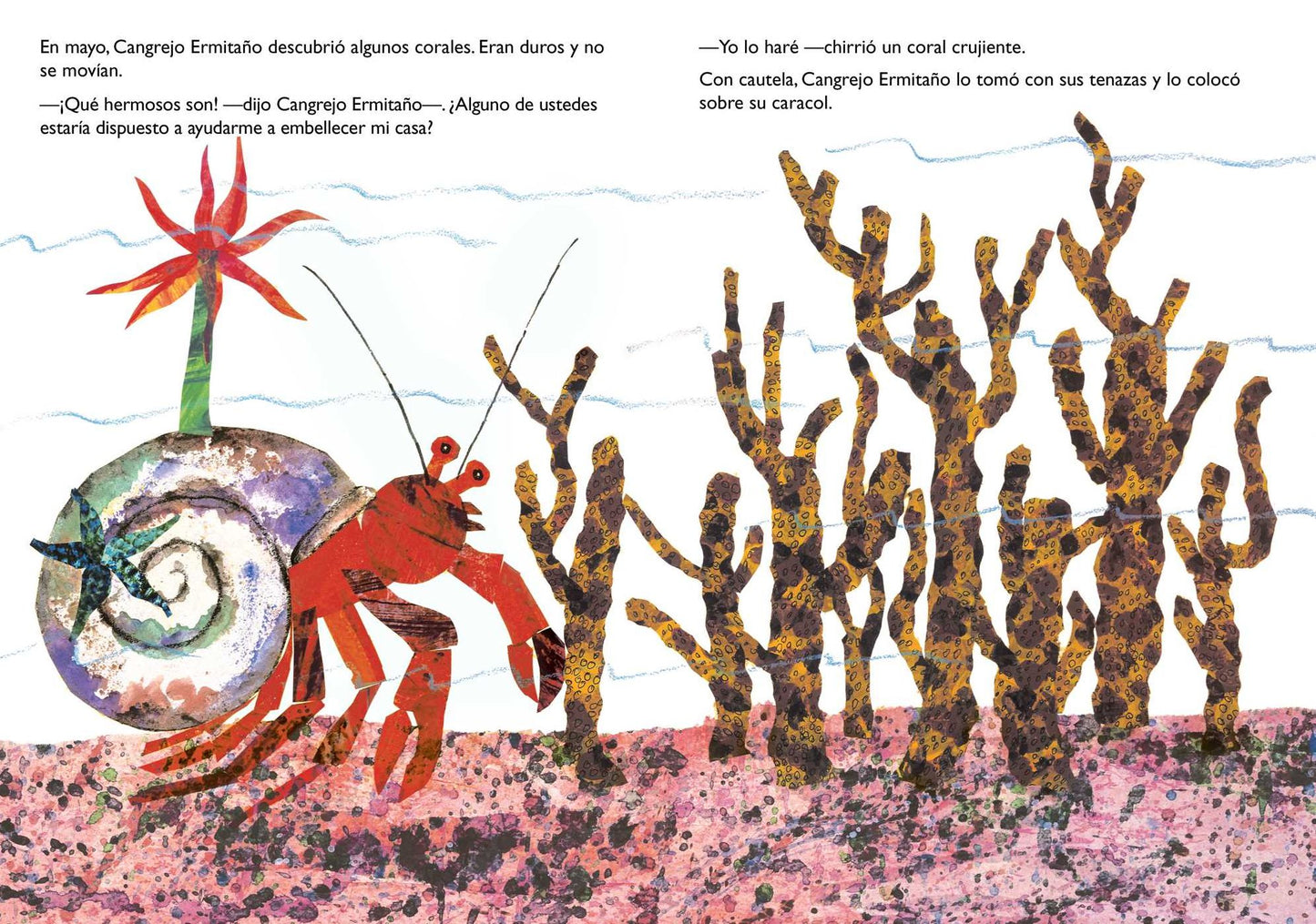 Una Casa Para Cangrejo Ermitaï¿½o (a House for Hermit Crab)