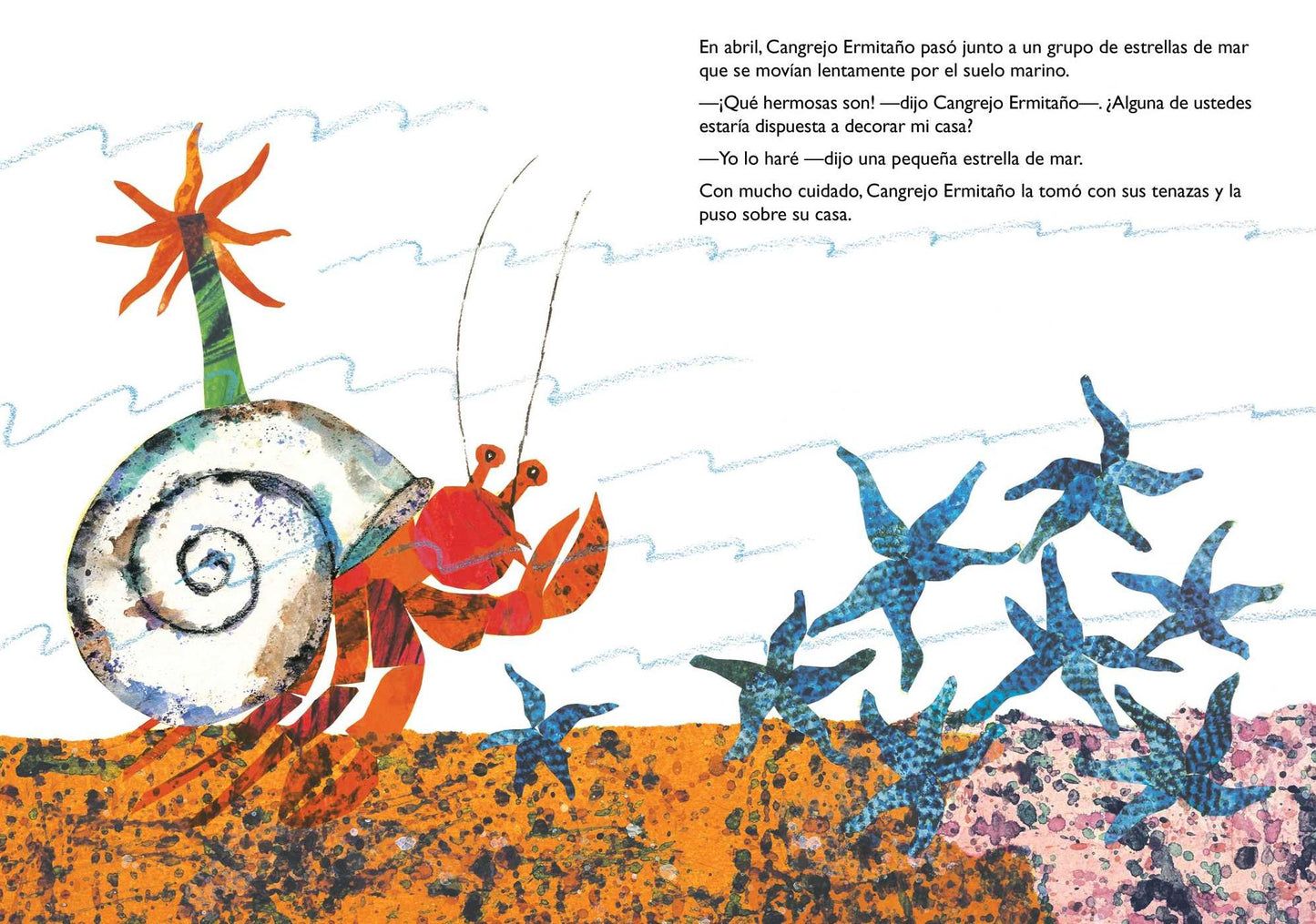 Una Casa Para Cangrejo Ermitaï¿½o (a House for Hermit Crab)