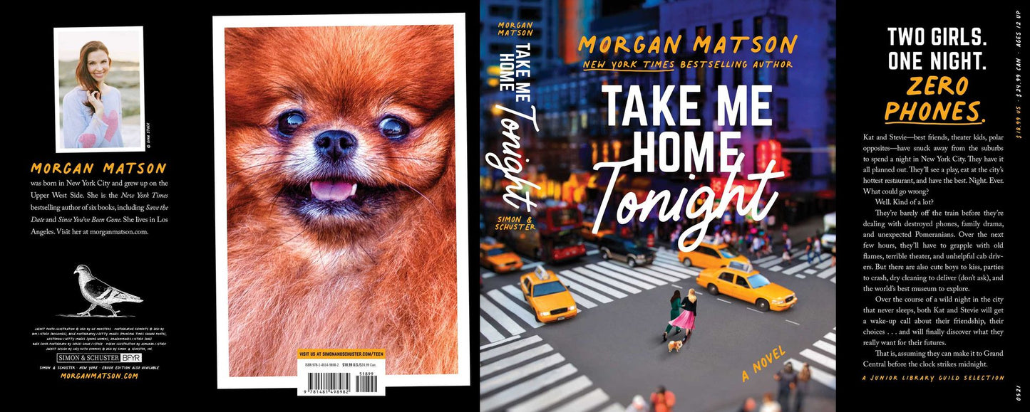 Take Me Home Tonight