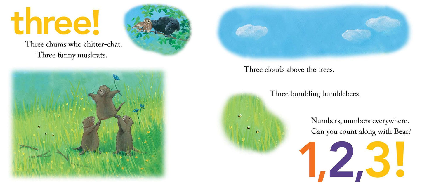 Bear Counts