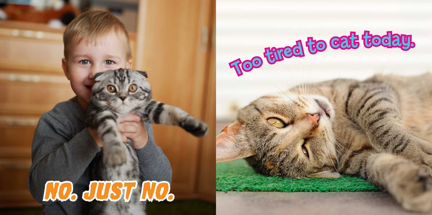 Laugh Out Loud More Kitten Around