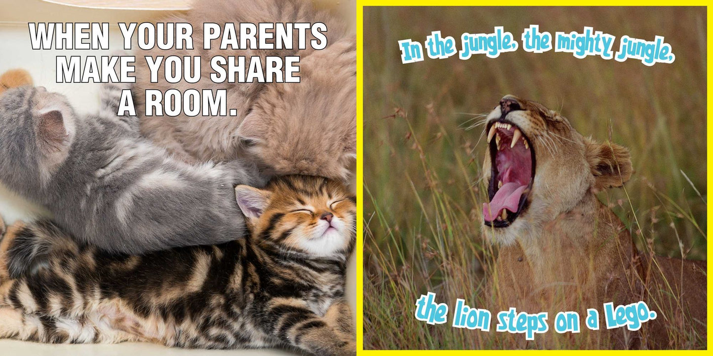 Laugh Out Loud More Kitten Around