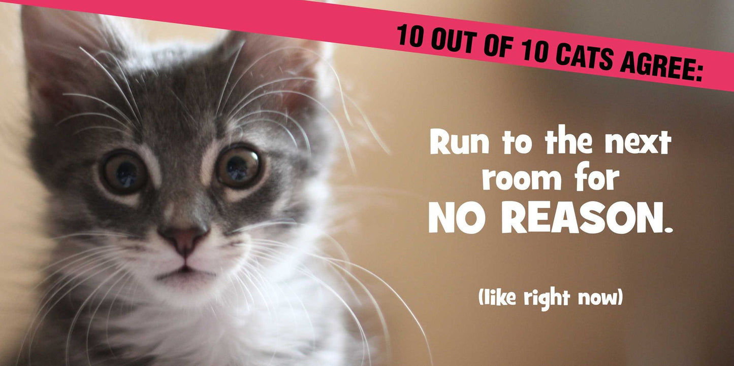 Laugh Out Loud More Kitten Around