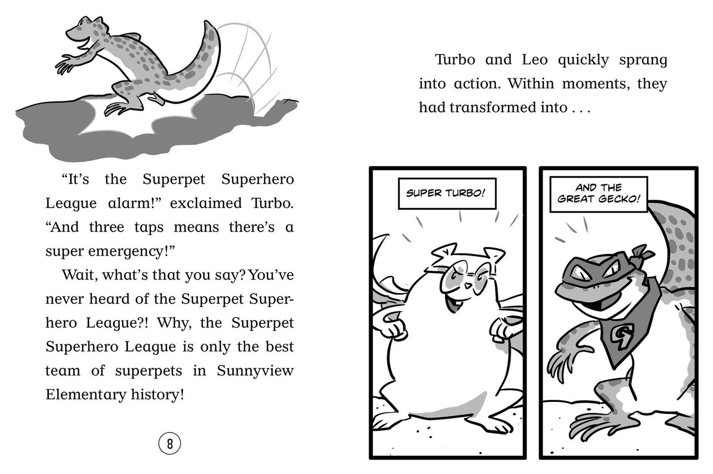 Super Turbo Protects the World