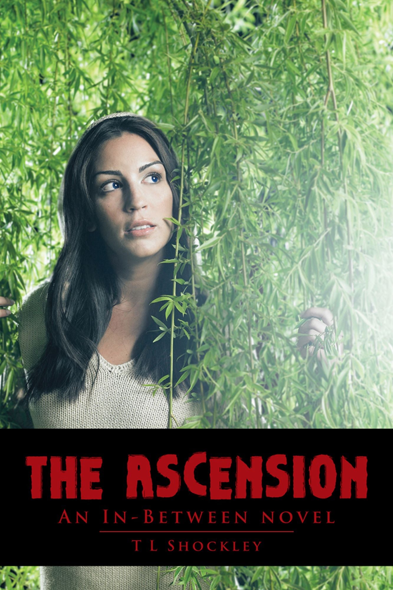 The Ascension: An In-Between novel