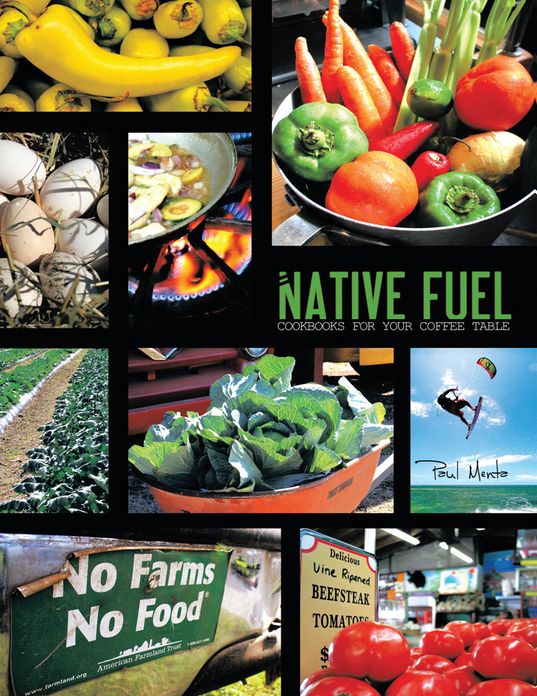 Native Fuel: Key West Edition Volume 1 (PagePerfect NOOK Book)