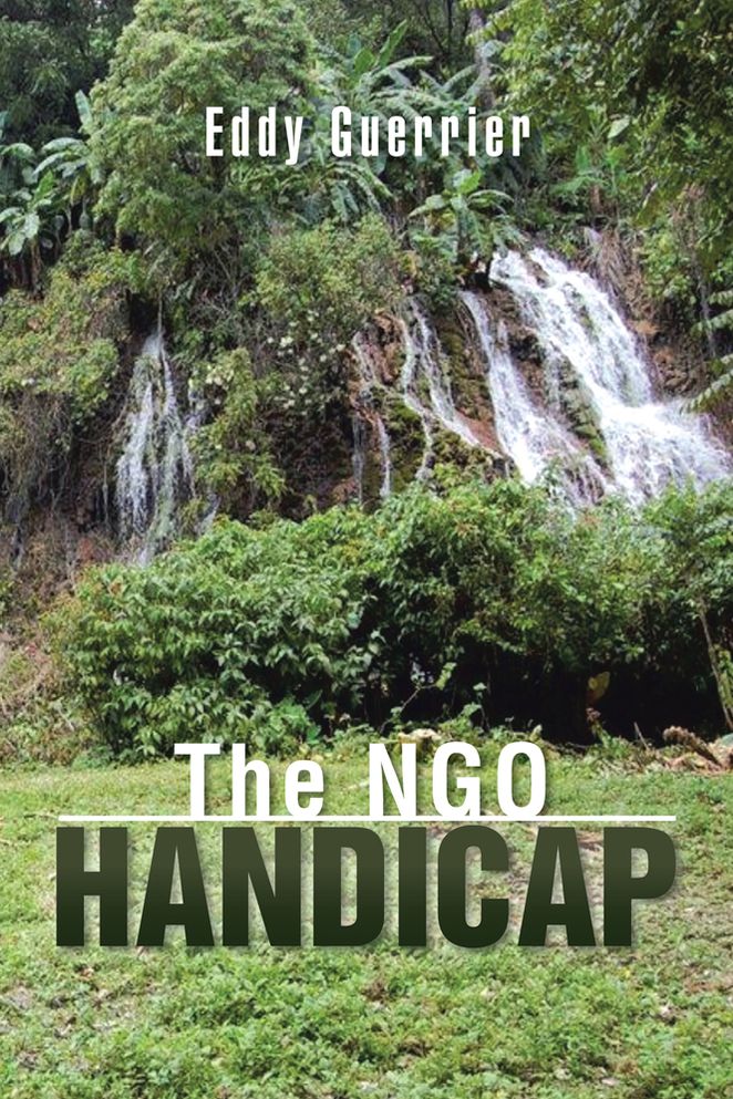 The NGO Handicap