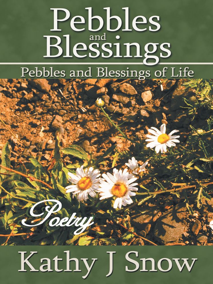 Pebbles and Blessings: Pebbles and Blessings of LIfe