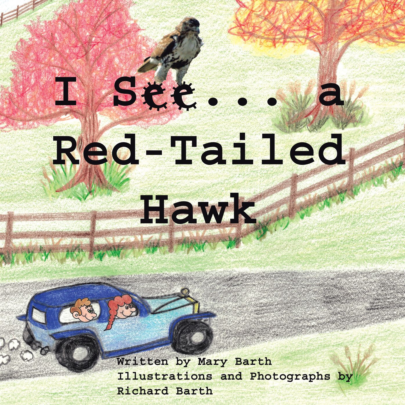 I See . . . a Red-Tailed Hawk (PagePerfect NOOK Book)
