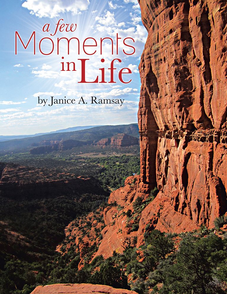 a few Moments in Life (PagePerfect NOOK Book)