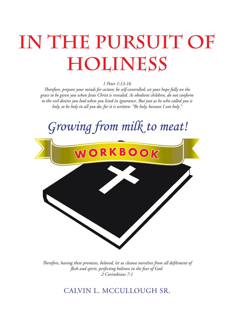 In the Pursuit of Holiness: Workbook