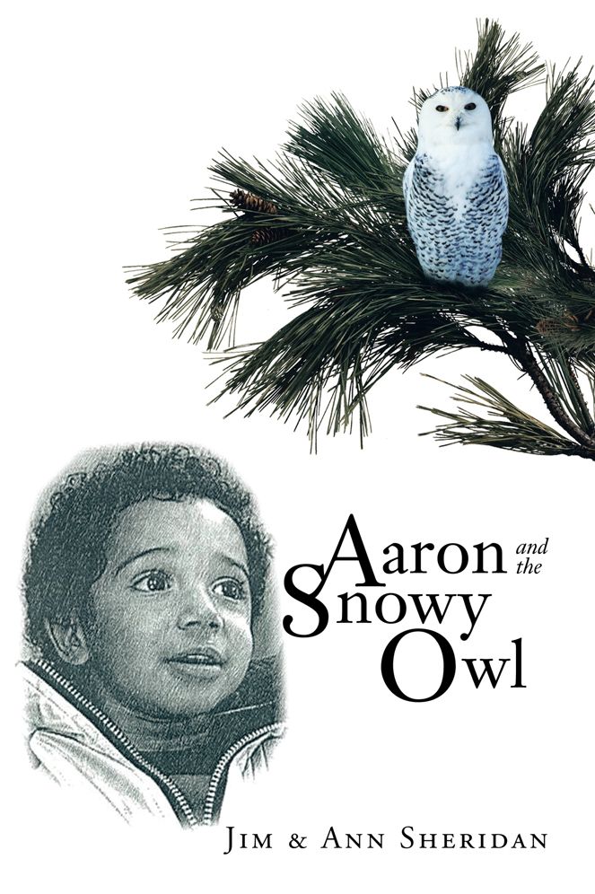 Aaron and the Snowy Owl