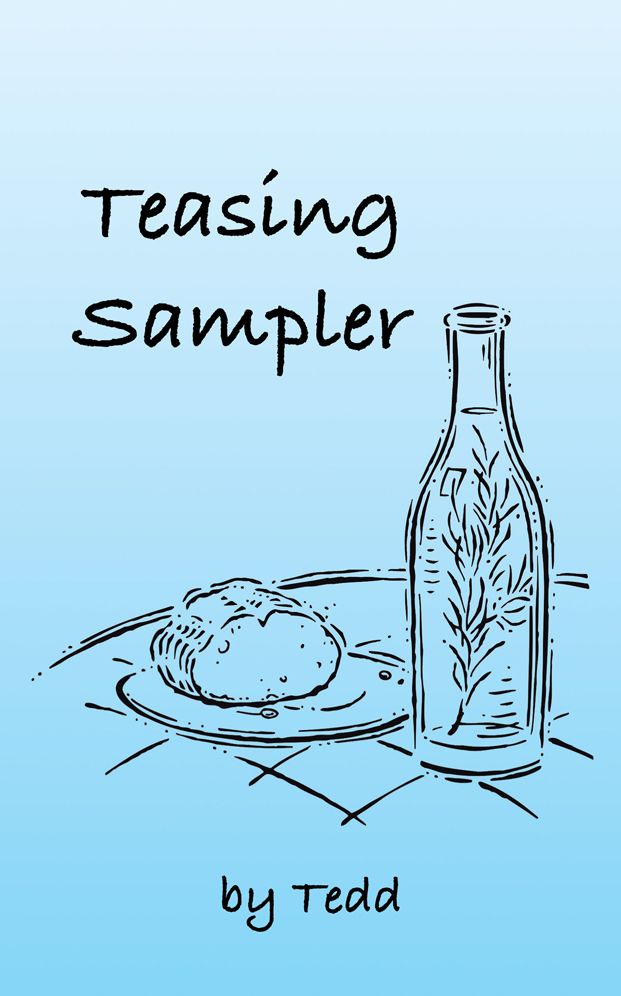 Teasing Sampler (PagePerfect NOOK Book)
