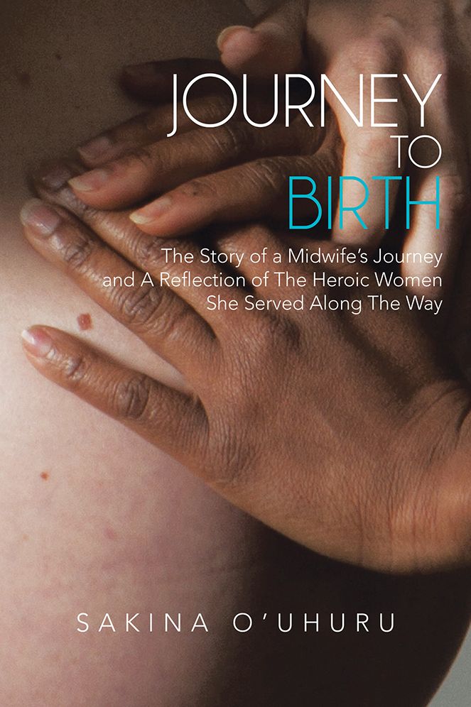 Journey to Birth: The Story of a Midwife's Journey and A Reflection of The Heroic Women She Served Along The Way