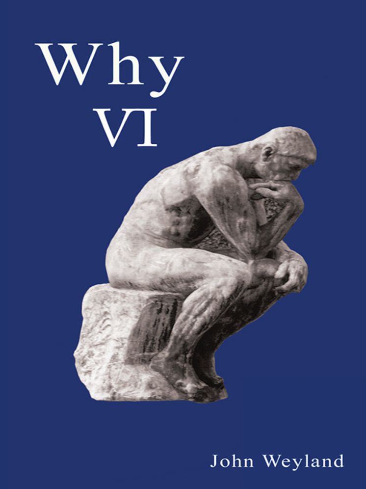 Why VI