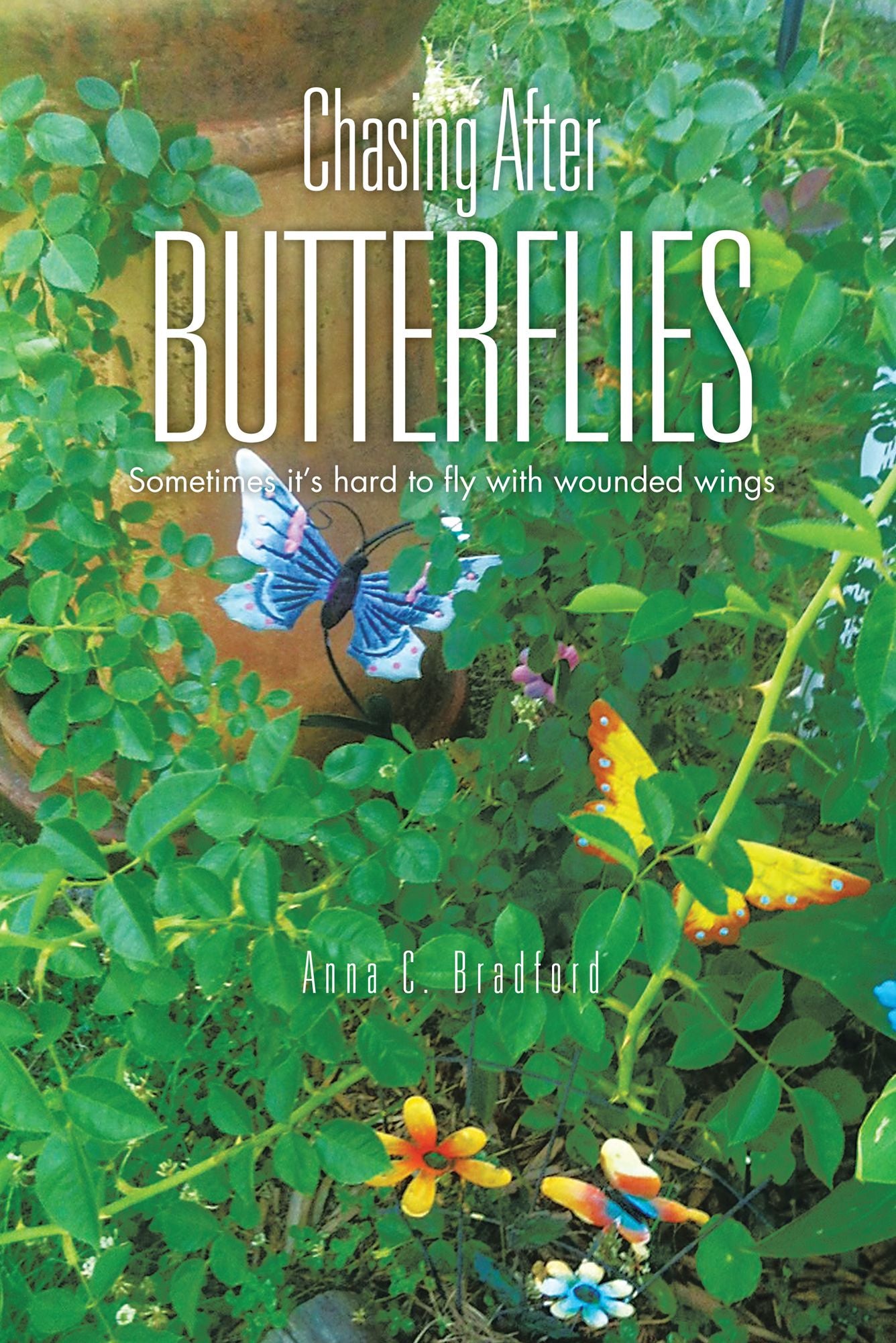 Chasing After Butterflies: Sometimes it's hard to fly with wounded wings (PagePerfect NOOK Book)