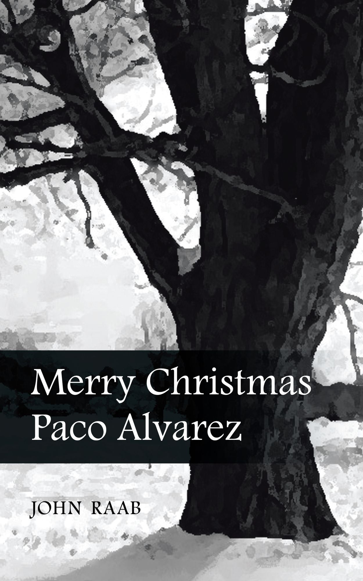 Merry Christmas Paco Alvarez (PagePerfect NOOK Book)