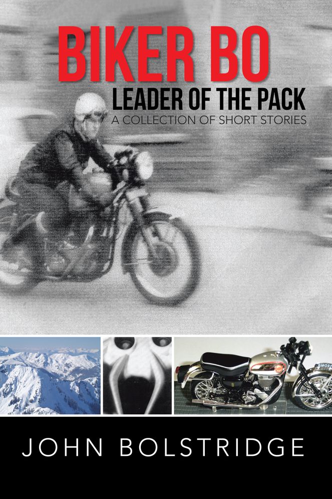 BIKER BO LEADER OF THE PACK: A Collection of Short Stories