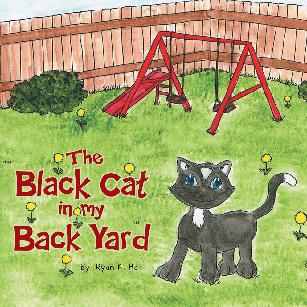 The Black Cat in My Back Yard
