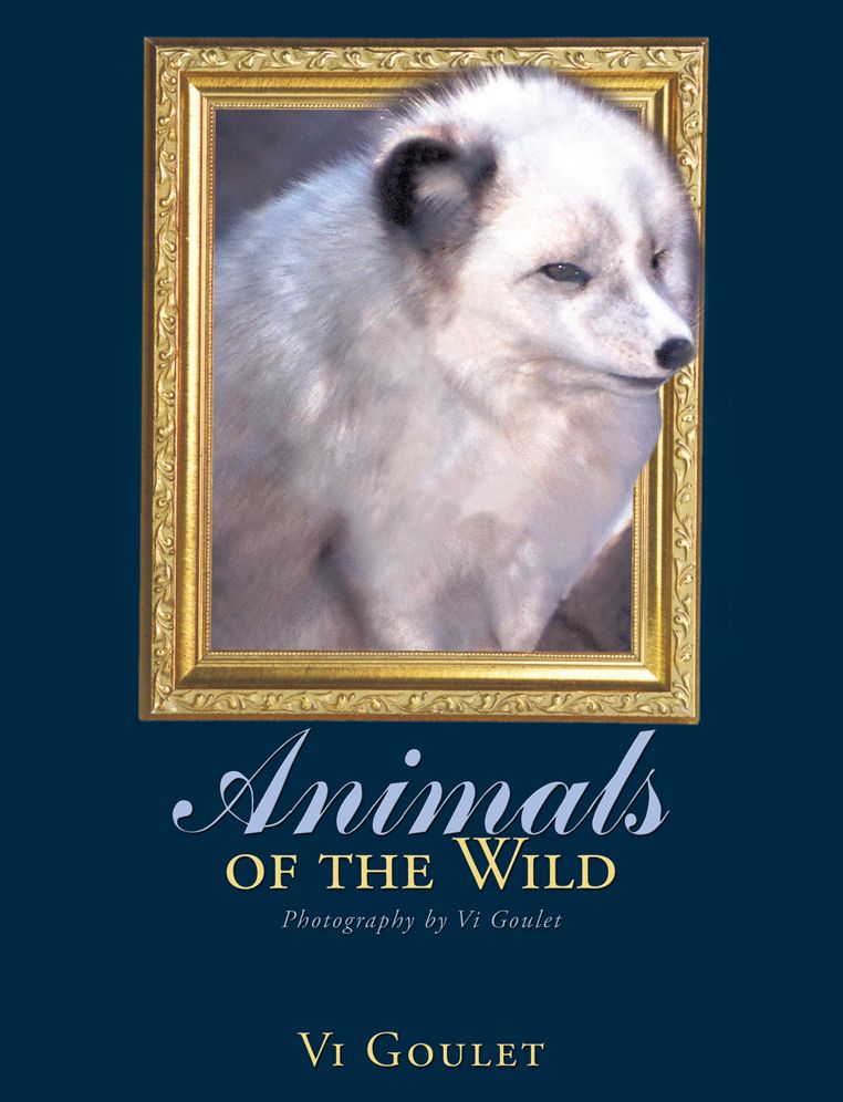 Animals of the Wild: Photography by Vi Goulet (PagePerfect NOOK Book)