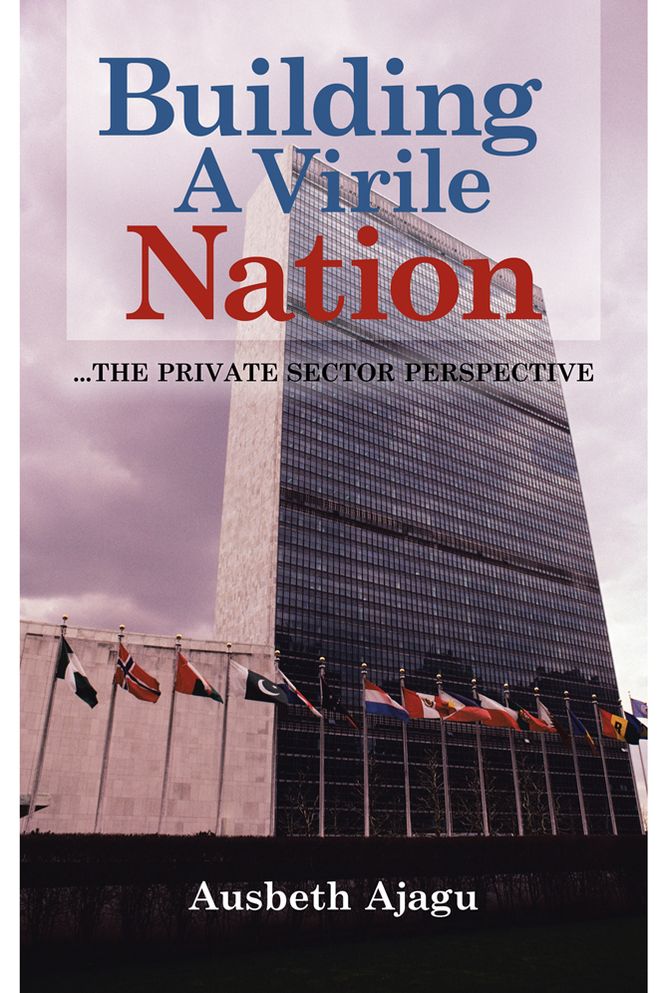 Building A Virile Nation: ...The Private Sector Perspective